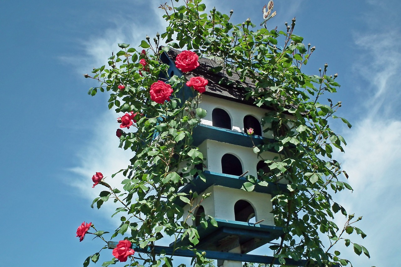 Simple DIY Birdhouses for Your Eco-Friendly Garden